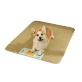 Medium Size Breathable Bed for Cats & Small Dogs Medium Size Breathable Bed for Cats & Small Dogs