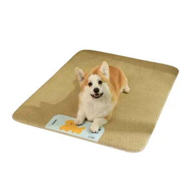 Medium Size Breathable Bed for Cats & Small Dogs