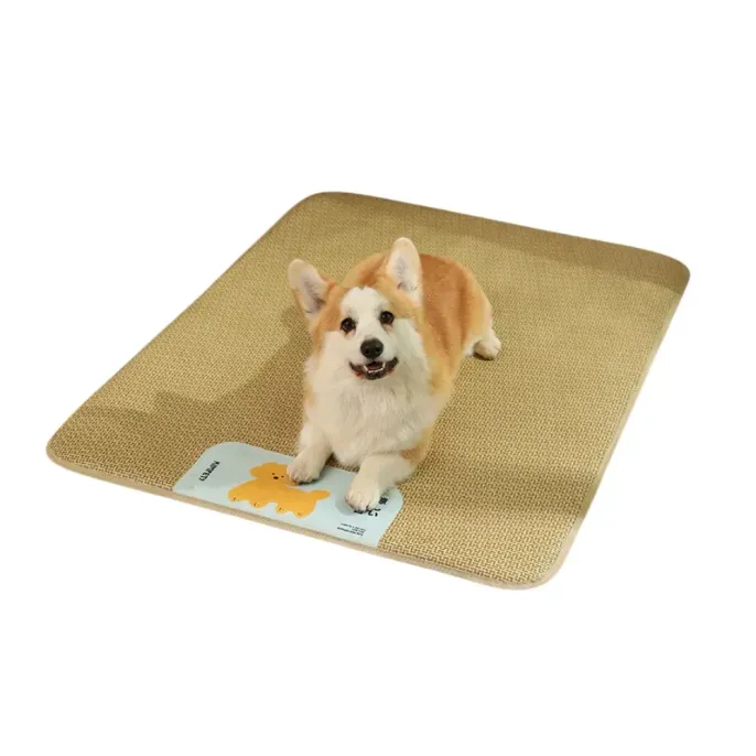 Medium Size Breathable Bed for Cats & Small Dogs Medium Size Breathable Bed for Cats & Small Dogs