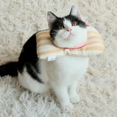 Elizabethan collar alternative Tiramisu Soft Adjustable Pet Recovery Collar for Cats