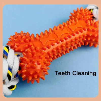 Bone Shape Dog Toy bulk Bone Shape Dog Toy bulk