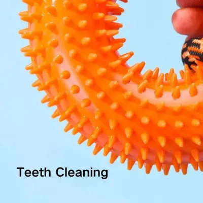 Teeth Cleaning Dog Toy factory Teeth Cleaning Dog Toy factory