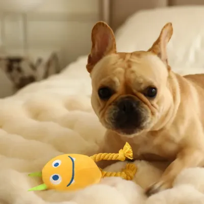 Dog Rope Toy wholesale Dog Rope Toy wholesale