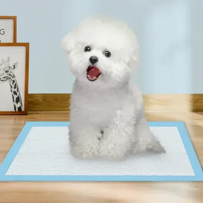 Super absorbent dog pad