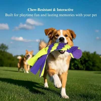 dog fetch ball