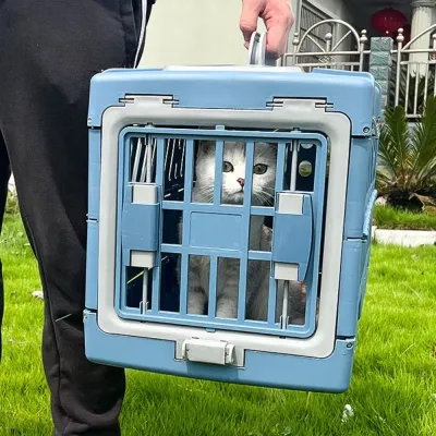 Blue Collapsible Pet Crates Blue Collapsible Pet Crates