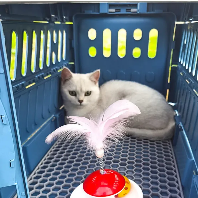 Blue Pet Crate