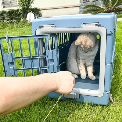 Blue Dog Pet Crate Blue Dog Pet Crate
