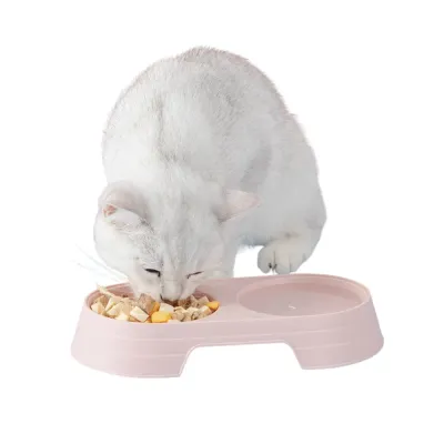 Cat Bowl Cat Bowl