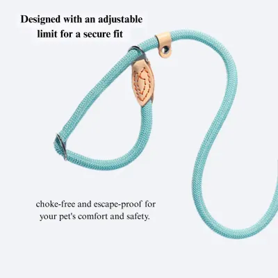 Outdoor Trendy Cartoon Dog P-Leash