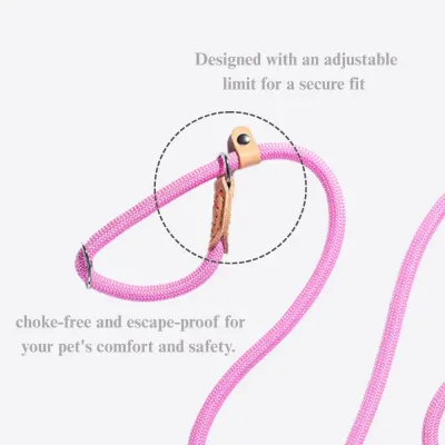 secure pet leash Dog Leash Cartoon Style with P Rope Design