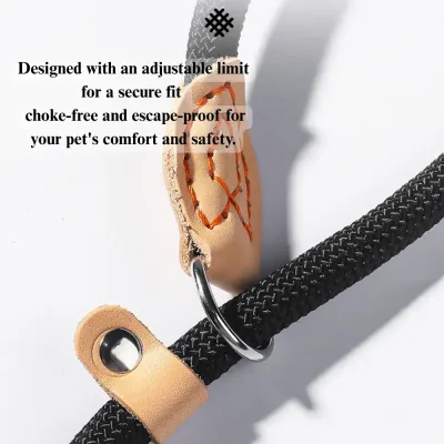 polyester dog leash Durable Outdoor Cartoon Dog Leash