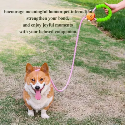 flexible dog leash Dog Leash Cartoon Style with P Rope Design