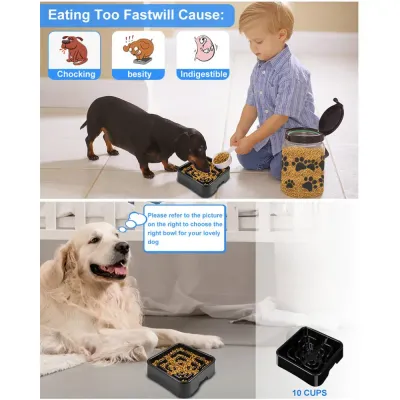 L Pet Slow Feed Bowl_4 L Pet Slow Feed Bowl_4
