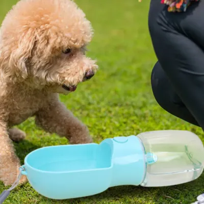 Portable Dog Water Bottle factory