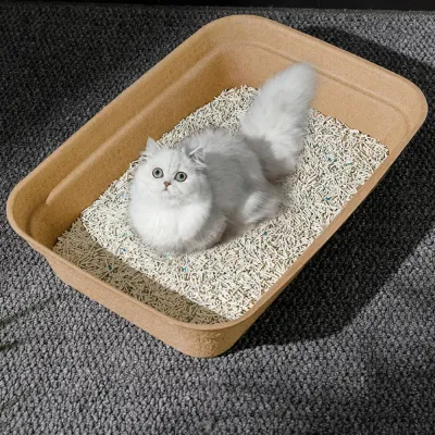 Disposable Cat Litter Box_4 Disposable Cat Litter Box_4