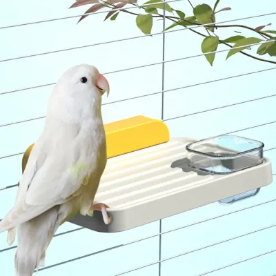 Bird Resting Platform_3 Bird Resting Platform_3