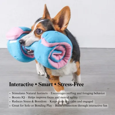 dog toy for stress relief Interactive Dumbbell Shaped Dog Toy with Squeaker and Treat Holder