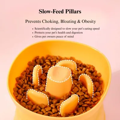 BPA free dog bowl Elevated Dog Slow Feeder Bowl Anti Spill for Small Breeds