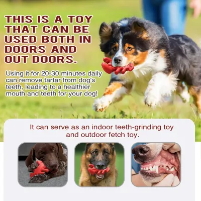 Lobster-Shaped Chew Toy odm Lobster-Shaped Chew Toy odm
