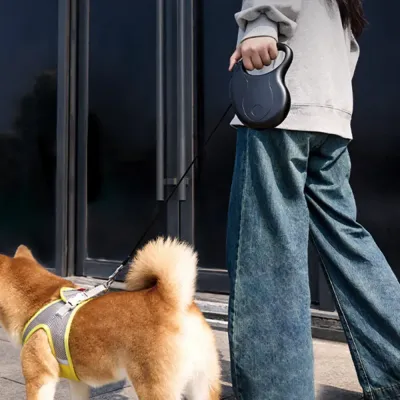 Retractable Dog Leash_4