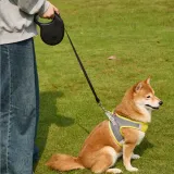 Retractable Dog Leash_6