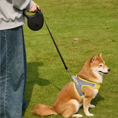 Retractable Dog Leash_6