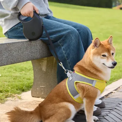 Retractable Dog Leash_7