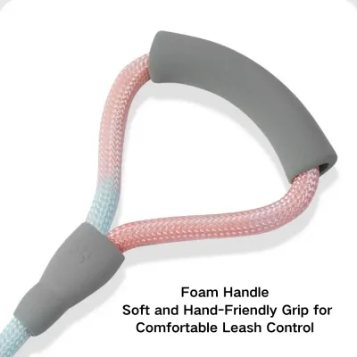 Double Dog Leashes_8