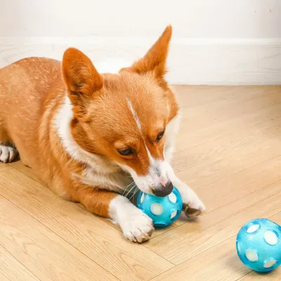 Dog Ball Toy_6 Dog Ball Toy_6