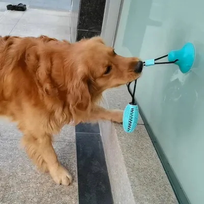 Dog Chew Toy Dog Chew Toy