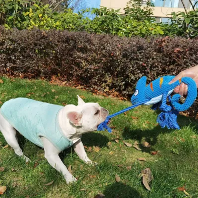 Chameleon Interactive Durable Squeaky Dog Toy_2 Chameleon Interactive Durable Squeaky Dog Toy_2