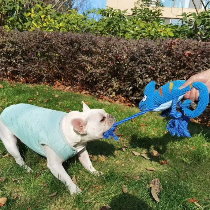 Chameleon Interactive Durable Squeaky Dog Toy_2 Chameleon Interactive Durable Squeaky Dog Toy_2
