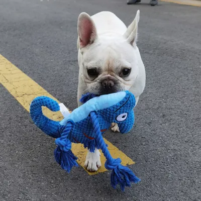 Chameleon Interactive Durable Squeaky Dog Toy Chameleon Interactive Durable Squeaky Dog Toy