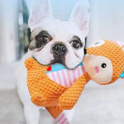 Plush Dog Squeaky Toys with Crinkle Paper_4 Plush Dog Squeaky Toys with Crinkle Paper_4