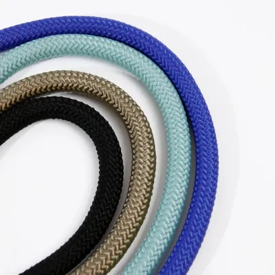 Pet Leash
