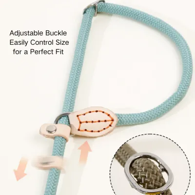 Pet Leash