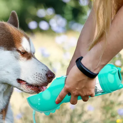 2 in 1 Dog pet Travel Bottle 2 in 1 Dog pet Travel Bottle