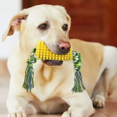 Dog Chew Toys Toothbrush Clean Teeth Interactive Corn Toys_3 Dog Chew Toys Toothbrush Clean Teeth Interactive Corn Toys_3