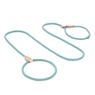Pet Leash