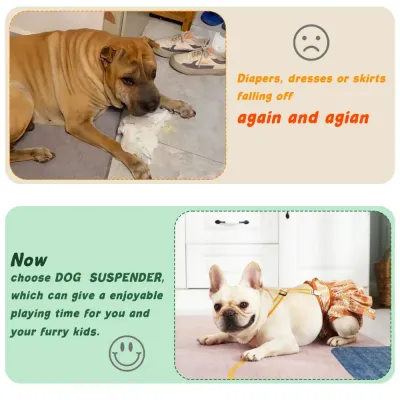 Dog Diaper Harness With Straps_3