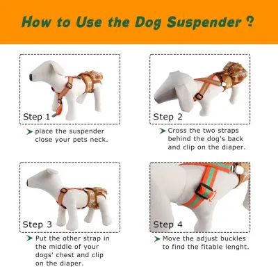 Dog Diaper Harness With Straps_4
