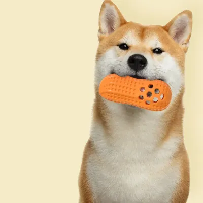 Pet Treat Toys_8