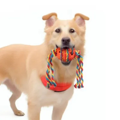 Durable Chew Toy Durable Chew Toy