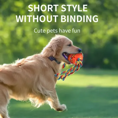 Dog Ball Toys Dog Ball Toys