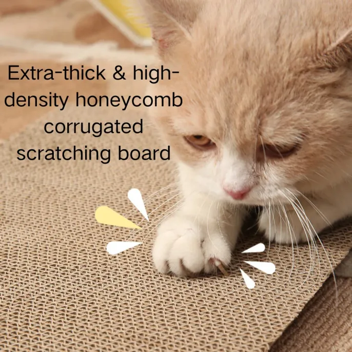 Octagonal PP Cat Bed with Scratching Board_2 Octagonal PP Cat Bed with Scratching Board_2