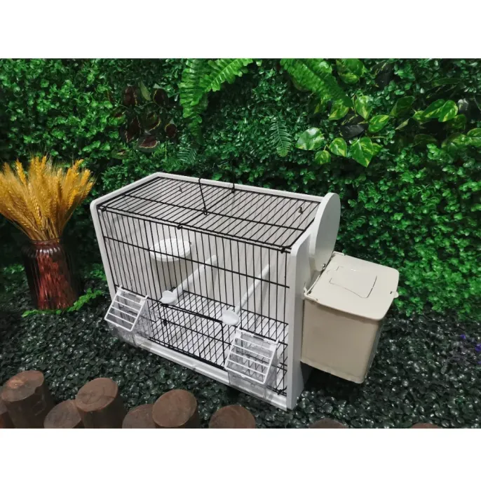 Small Parrot Nest Box for Breeding – Wooden Bird House for Budgies, Cockatiels, Lovebirds 