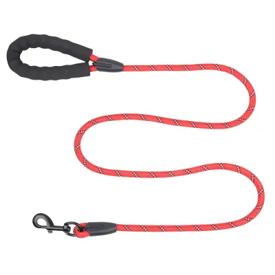 Durable Nylon Dog Leash Strong and Comfortable for Daily Durable Nylon Dog Leash Strong and Comfortable for Daily