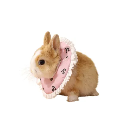 Cute Soft Cone Pet Recovery Collar for Small Pets Cute Soft Cone Pet Recovery Collar for Small Pets