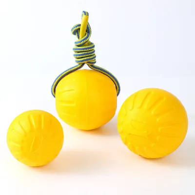 Ball Dog Toy with Rope Handle_2